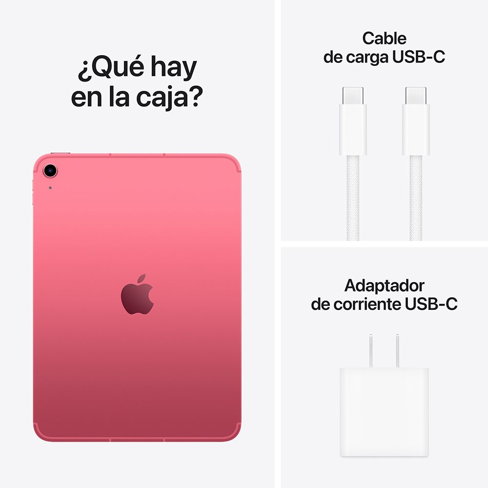 iPad Wi-Fi + Cellular 256 GB - Rosa (A16)