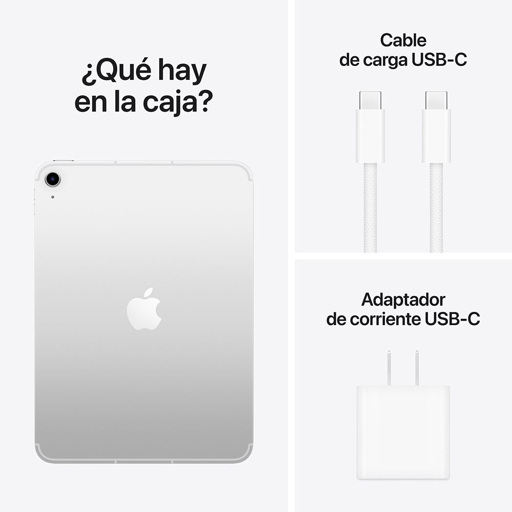 iPad Wi-Fi + Cellular 256 GB - Plata (A16)