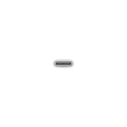 Cable de carga USB-C de 60W (1 m)