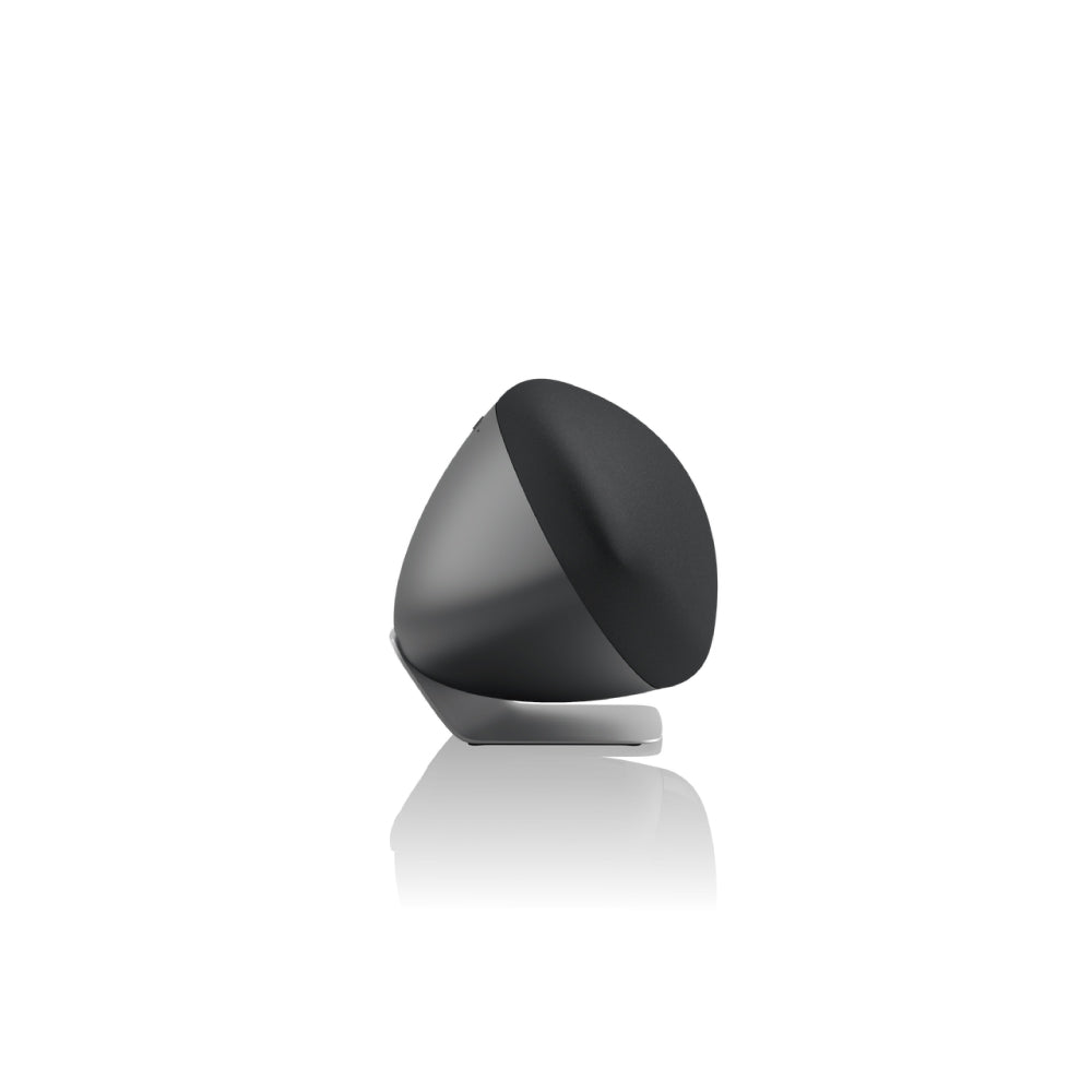 Parlante Bowers & Wilkins Zeppelin Pro - Gris Espacial