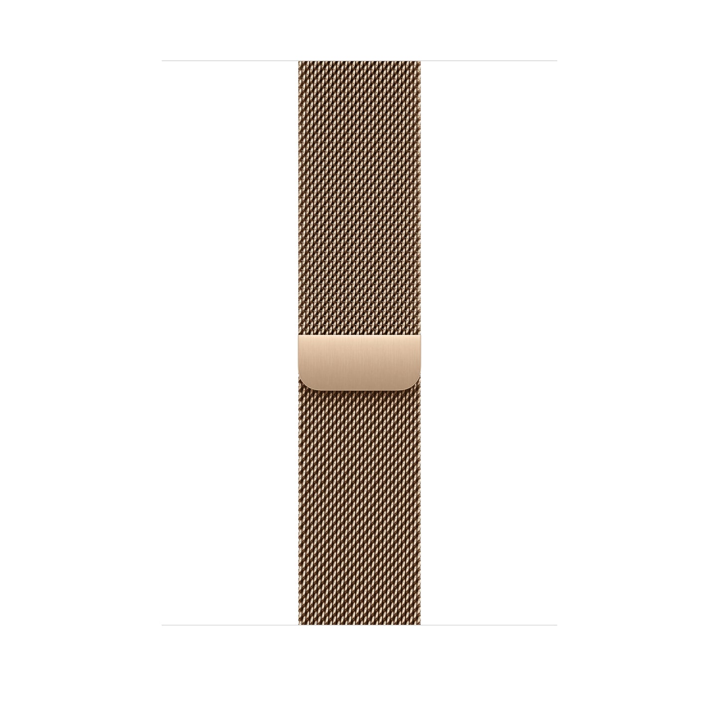 Correa estilo milanés color oro para caja de 46 mm - M/L