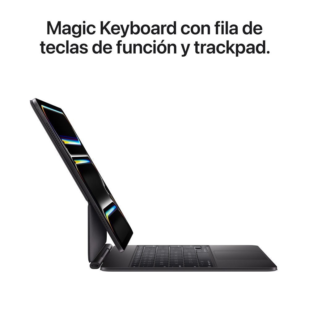 iPad Pro de 13 pulgadas Wi-Fi 256 GB Vidrio estándar - Negro