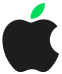Apple Logo Elevated Mdm 2x